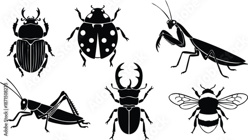 Silhouette vector set close up six insect icons including stag beetle ladybug praying mantis grasshopper cricket and bumblebee isolated on white background for nature designs collection