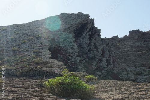 Trekking to Monte Corona, Lanzarote, November 2025, nature, bush, tree, landscape, view, rock, volcanic island, trekking, monte corona, plant, lichen