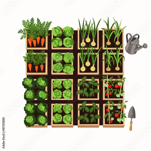 Raised garden bed with carrots, lettuce, onions, basil, and tomatoes, plus watering can and trowel