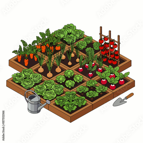 Raised garden beds with various vegetables including lettuce, carrots, onions, tomatoes, and radishes, with watering can and trowel.