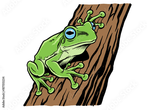 Green tree frog illustration clinging to bark. Cartoon amphibian design for t-shirt print, sticker, and poster. Cute wildlife drawing.