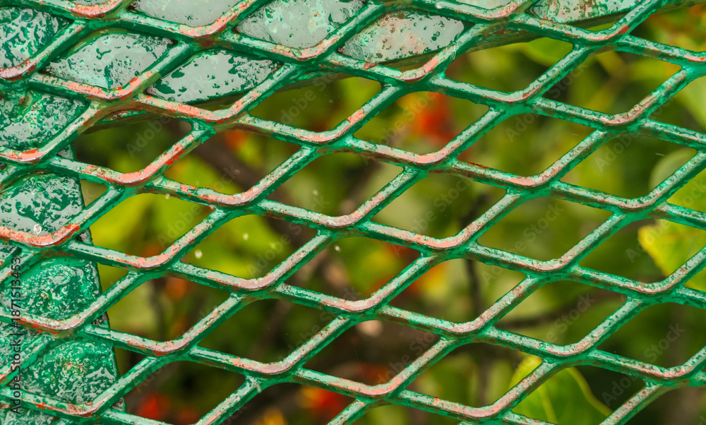 Fototapeta premium Metal grid underfoot when crossing the moss and tree filled valley on hanging bridge in rainforest of Monteverde in Costa Rica on wet rainy day