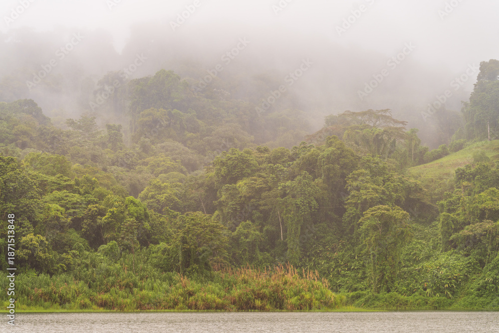 Fototapeta premium Lush green rainforest landscape on Lake Arenal in Costa Rica with mist and fog hanging over the trees. This tropical scenery and nature background