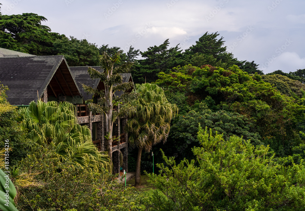 Naklejka premium Wooden resort bedrooms with balconies in the landscape of Monteverde in Costa Rica looking west towards Pacific Ocean