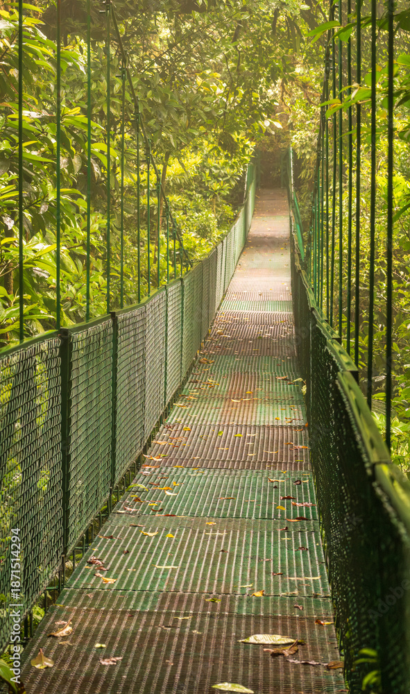 Fototapeta premium Crossing the moss and tree filled valley on hanging bridge in rainforest of Monteverde in Costa Rica on wet rainy day