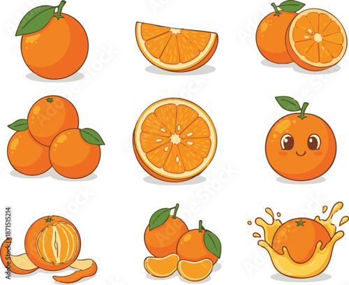 Collection of Orange Fruit Slices and Whole Citrus Variations