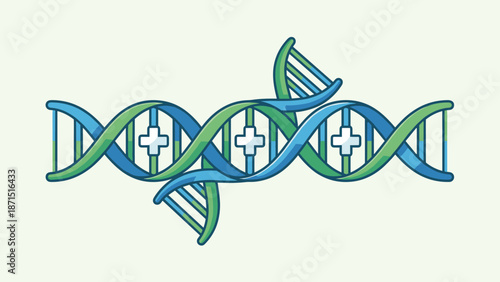 Stylized DNA helix with medical cross icons. Genetic research and science concept vector illustration. Molecular biology healthcare symbol. Blue green biotechnology genome structure.