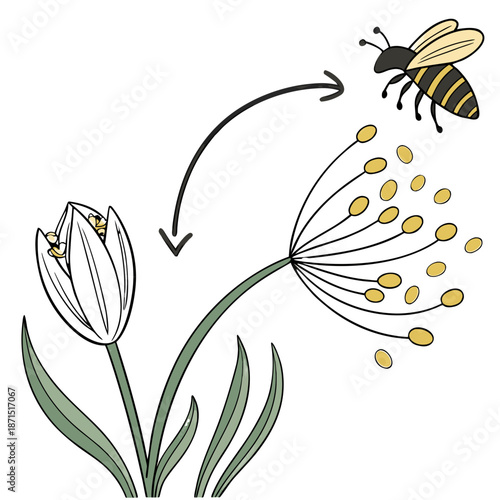A sophisticated icon clearly depicting the essential cross-pollination mechanism, showing a bee transferring pollen between two distinct flowers, a vital process for plant reproduction