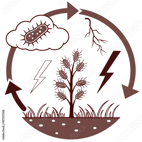 A Sophisticated Nitrogen Cycle Icon Illustrating Atmospheric Processes and Plant Life Within a Continuous Ecosystem Loop