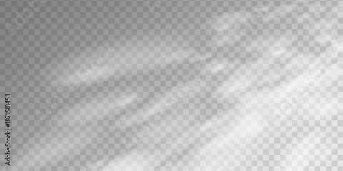 Realistic sunlight overlay effect casts window shadows on white empty room wall and floor. Minimal studio backdrop creates soft sun shade for product mockup and interior display.