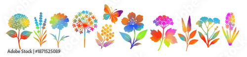 A set of colored flowers. Hand drawn. Not AI,