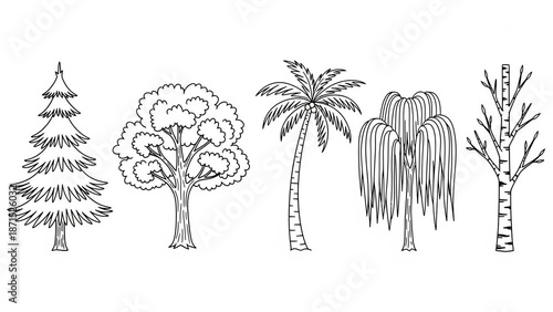 Collection of five different hand-drawn trees in a simple black and white doodle style, including pine, deciduous, palm, weeping willow, and birch tree illustrations