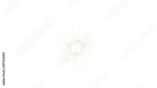 Dandelion seed head isolated on transparent background