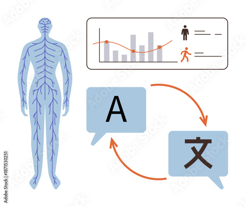 Language learning, medical studies, healthcare data visualization, translation tools, neurobiology, globalization. Human nervous system next to data charts and translation icons. Language learning