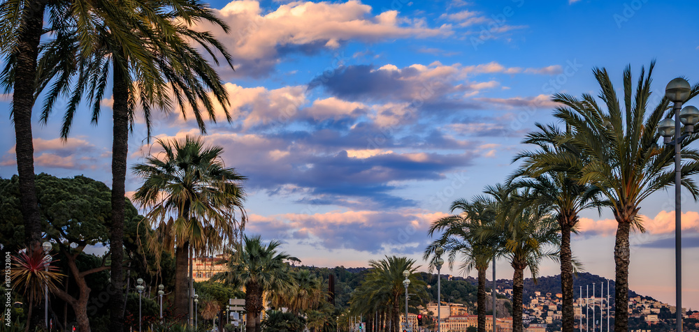 Fototapeta premium Sunset over the palm trees of the Promenade des Anglais in Nice, South of France