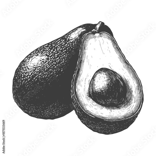 Avocado in illustration style with half cut showing pit