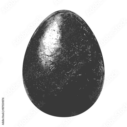 A Detailed Engraving Of A Single Dark Egg