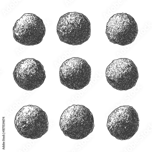 Nine Detailed Engravings of Round Food Items