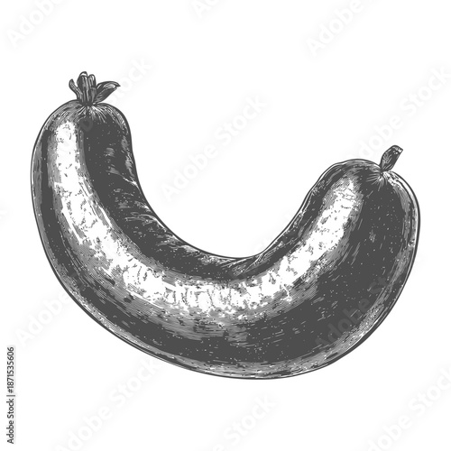 A detailed illustration of a curved sausage