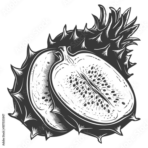 A detailed illustration of a dragon fruit halved