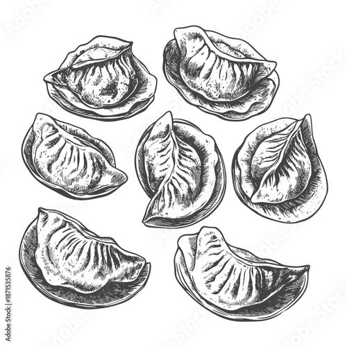 A Collection Of Hand Drawn Delicious Dumplings