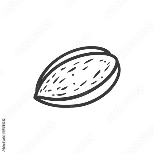 Single Almond Nut Shell Sketch Illustration