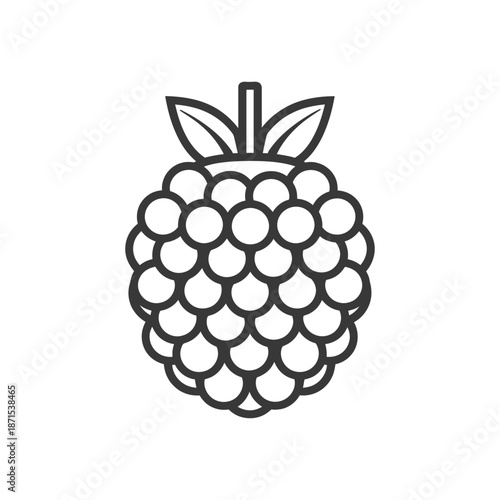 Line Art Illustration Of A Single Raspberry