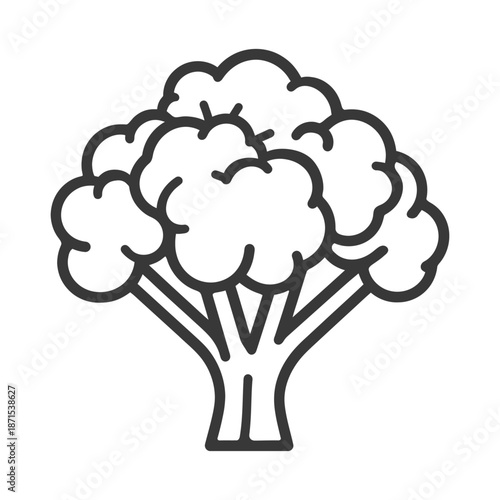 Line art drawing of a broccoli vegetable