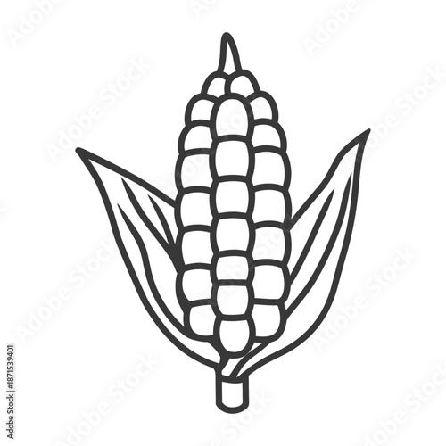 An illustration of an ear of corn with leaves