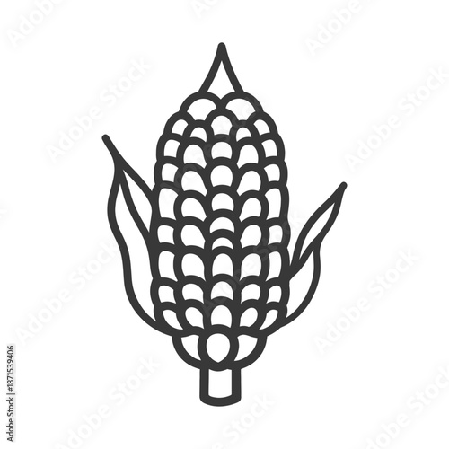 An illustration of a single ear of corn