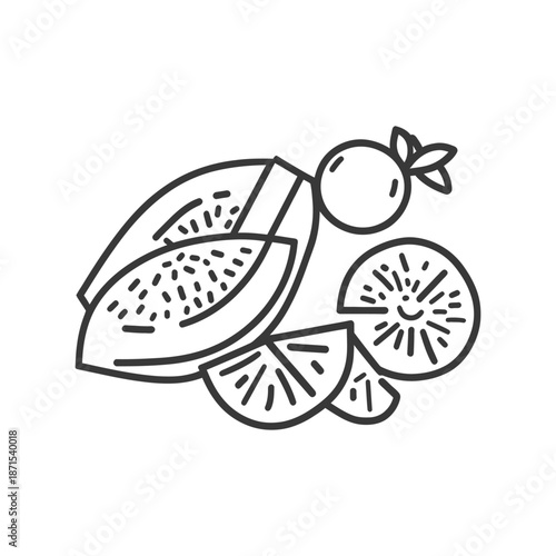 Sliced papaya melon and cherry fruit illustration