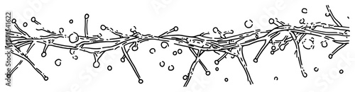 Organic horizontal border with intertwined branches and droplet shapes in hand drawn style