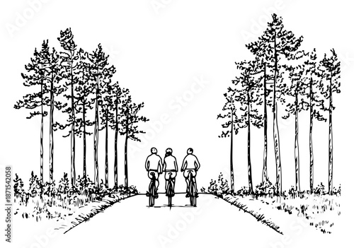 Hand drawn sketch of three people on bicycles riding through a tall pine tree forest path