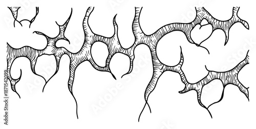 Abstract hand drawn branching organic shapes forming heart shapes in engraving style