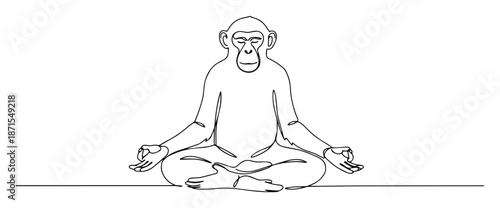 monkey sitting in meditation yoga lotus pose