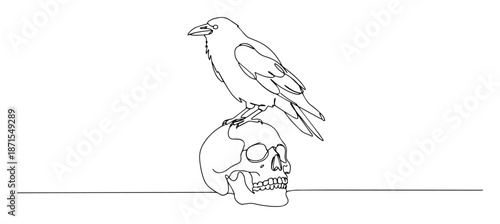 raven perched on human skull line illustration
