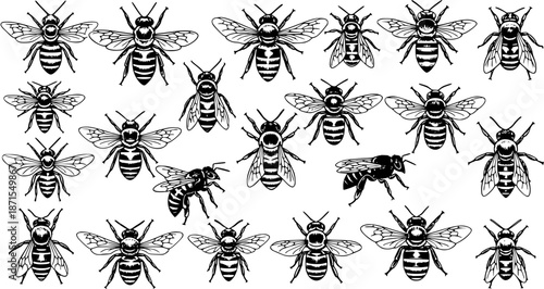 Swarm of Bees: Detailed Black and White Vector Illustration
