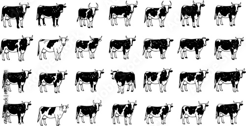 Seamless pattern of various cattle breeds, including cows and bulls, in black and white line art vector illustrations on a white background