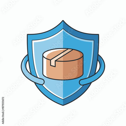 Secure Package Delivery Shield Icon Illustration.