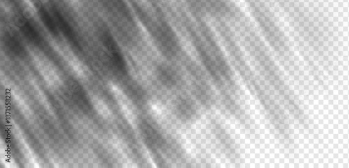 Dappled leaf shadows and tree branch silhouettes cast a natural sunlight effect on a white wall. Soft foliage gobo and summer garden patterns create a realistic sunny atmosphere for studio mockups.