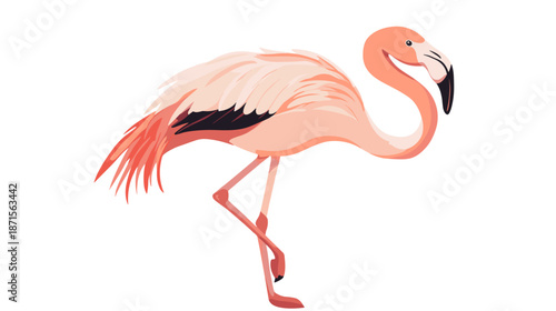 Pink Flamingo Standing on One Leg.