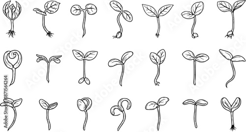 Hand-drawn Plant Sprouts and Seedlings Set: Doodle Icons Illustrating Early Growth Stages and Germination