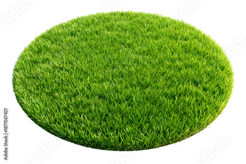 Round Green Artificial Grass Turf Mat