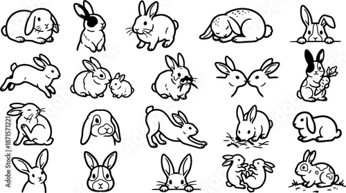 Hand drawn line art sheet of playful rabbit sketches in varied poses close up doodles black ink on white background collection