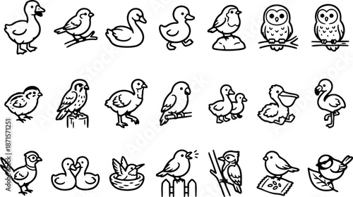 Line art bird icon set close up assorted small bird species in simple black stroke vector icons on white sheet arranged