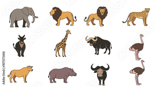 Collection of Various Wild Animals Illustrated.