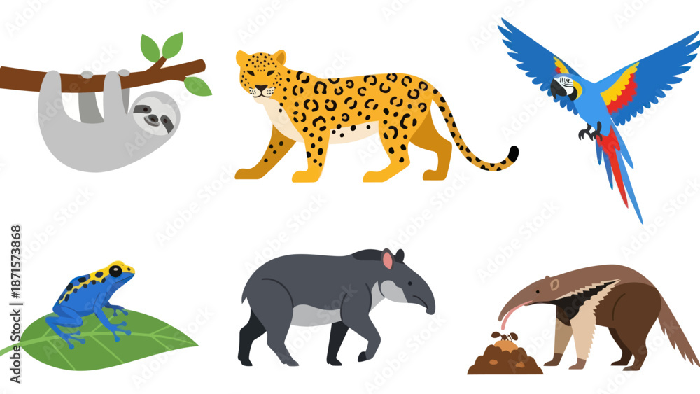 Naklejka premium Sloth Leopard Frog Rhino Armadillo Macaw Animals.