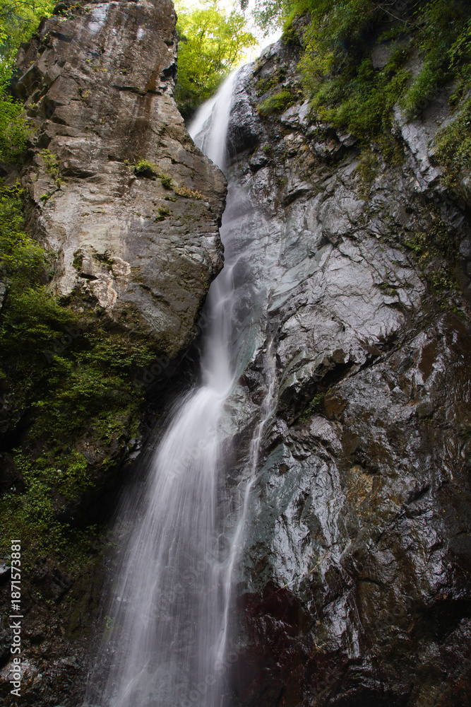 Fototapeta premium 早戸大滝 神奈川県相模原市緑区