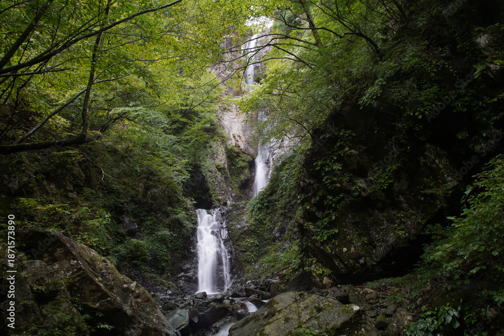 Obraz premium 早戸大滝 神奈川県相模原市緑区