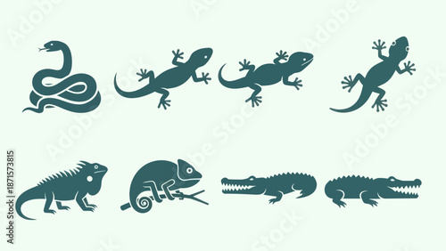 Various Silhouettes of Reptiles and Lizards.